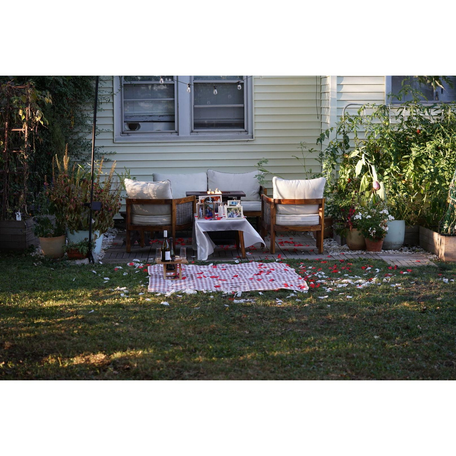 The perfect picnic!
