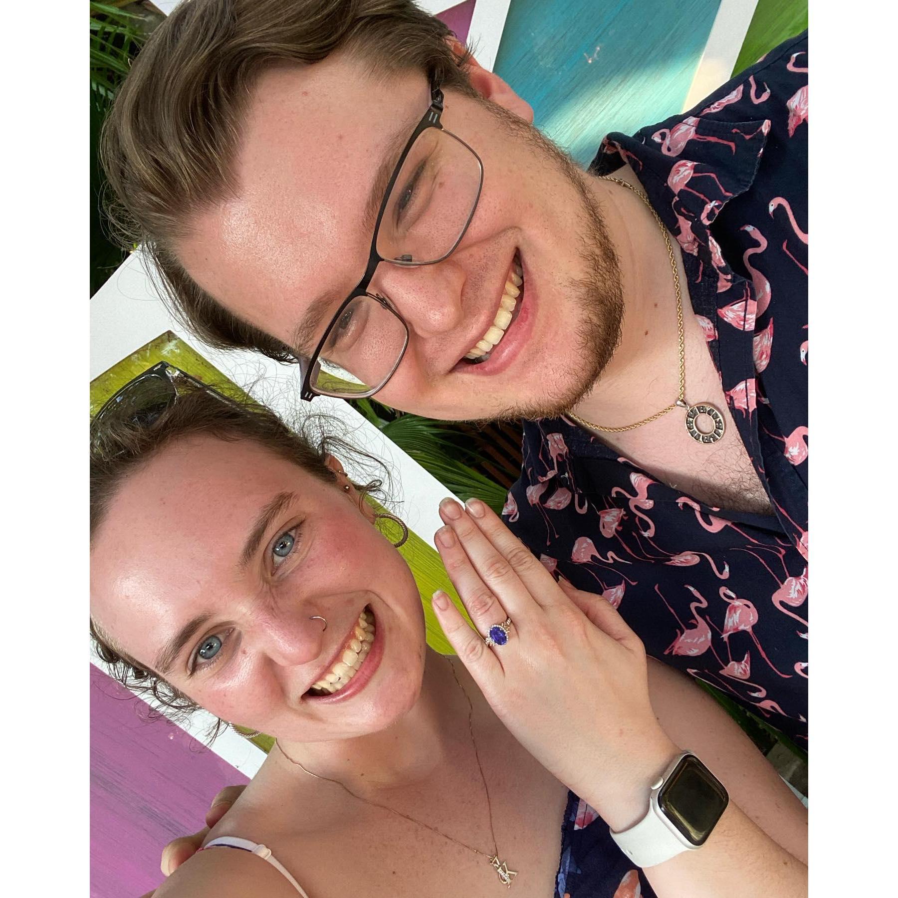 The day I said "YES!" - 2/24/22 Busch Gardens, FL