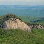 ~Hiking~    Pisgah Forest