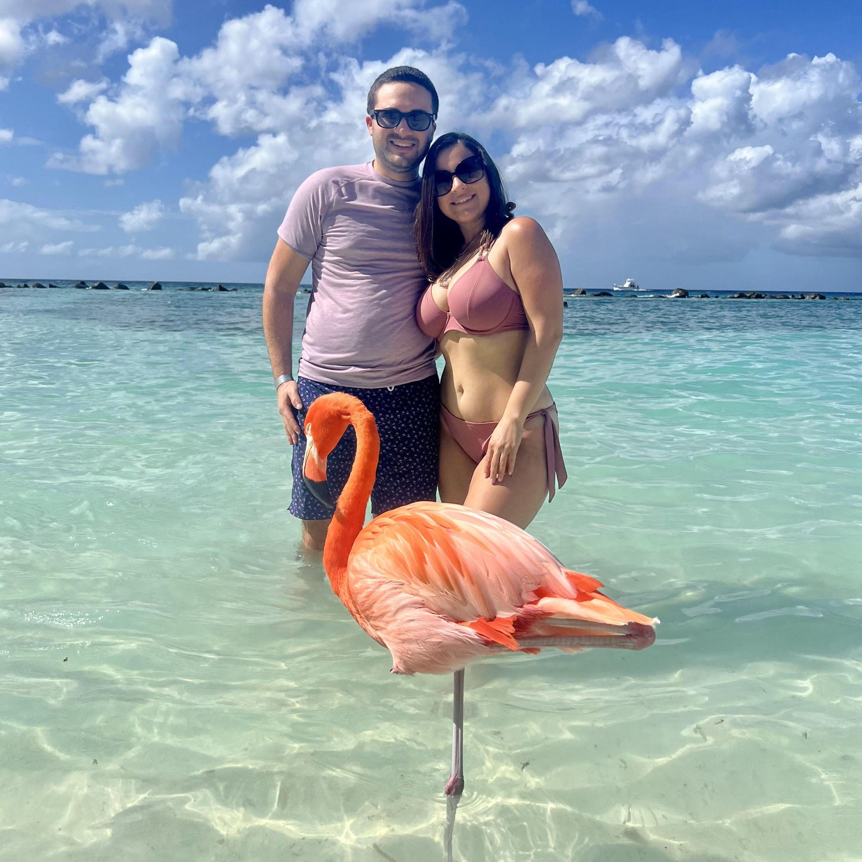 December 2022 | Aruba | Flamingo Beach