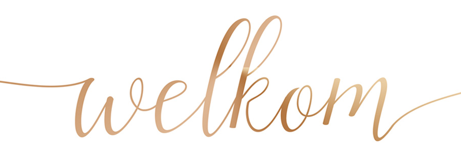 The Wedding Website of Arjen Mesu and Judith van Beek