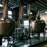 Saint Augustine Distillery Tour