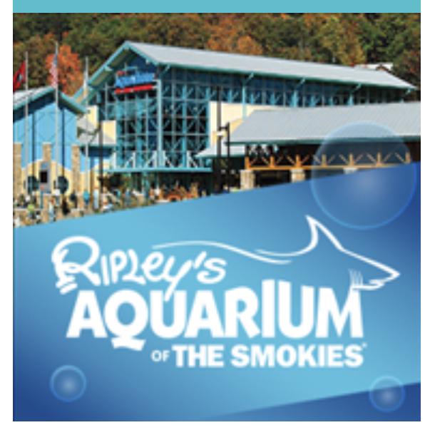 Ripley’s Aquarium of The Smokies