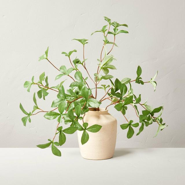 Medium 14" Faux Gypsophila Leaf Arrangement - Hearth & Hand™ with Magnolia