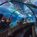 L’Aquàrium de Barcelona