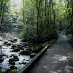 Roaring Fork Motor Nature Trail