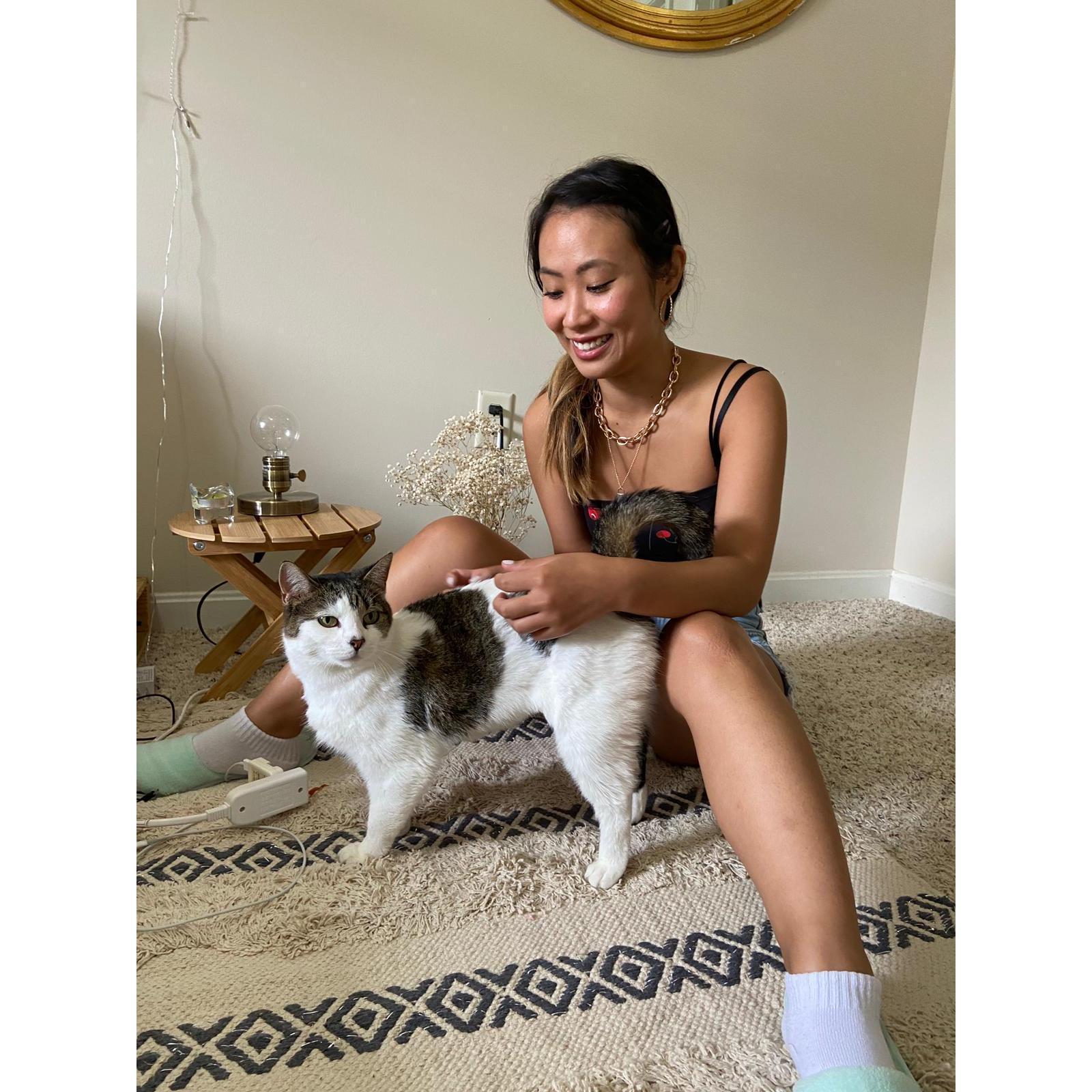 We adopted Biscuit