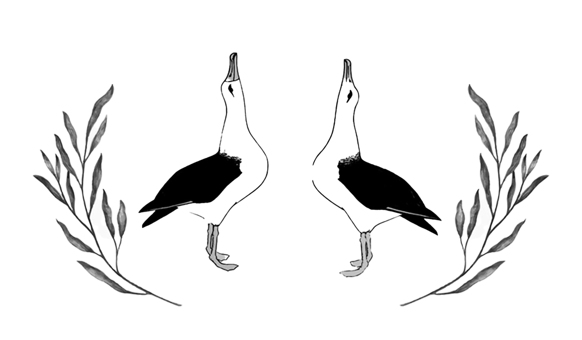 Footer image