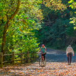 Wissahickon Valley Park