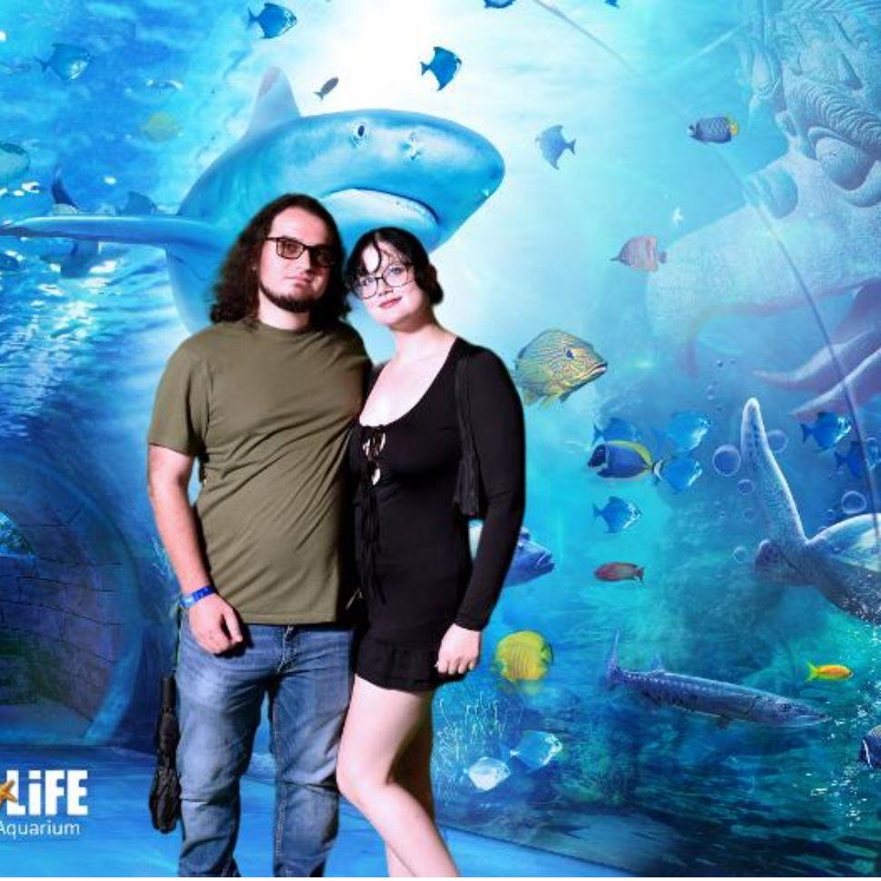Aquarium in Orlando 2024