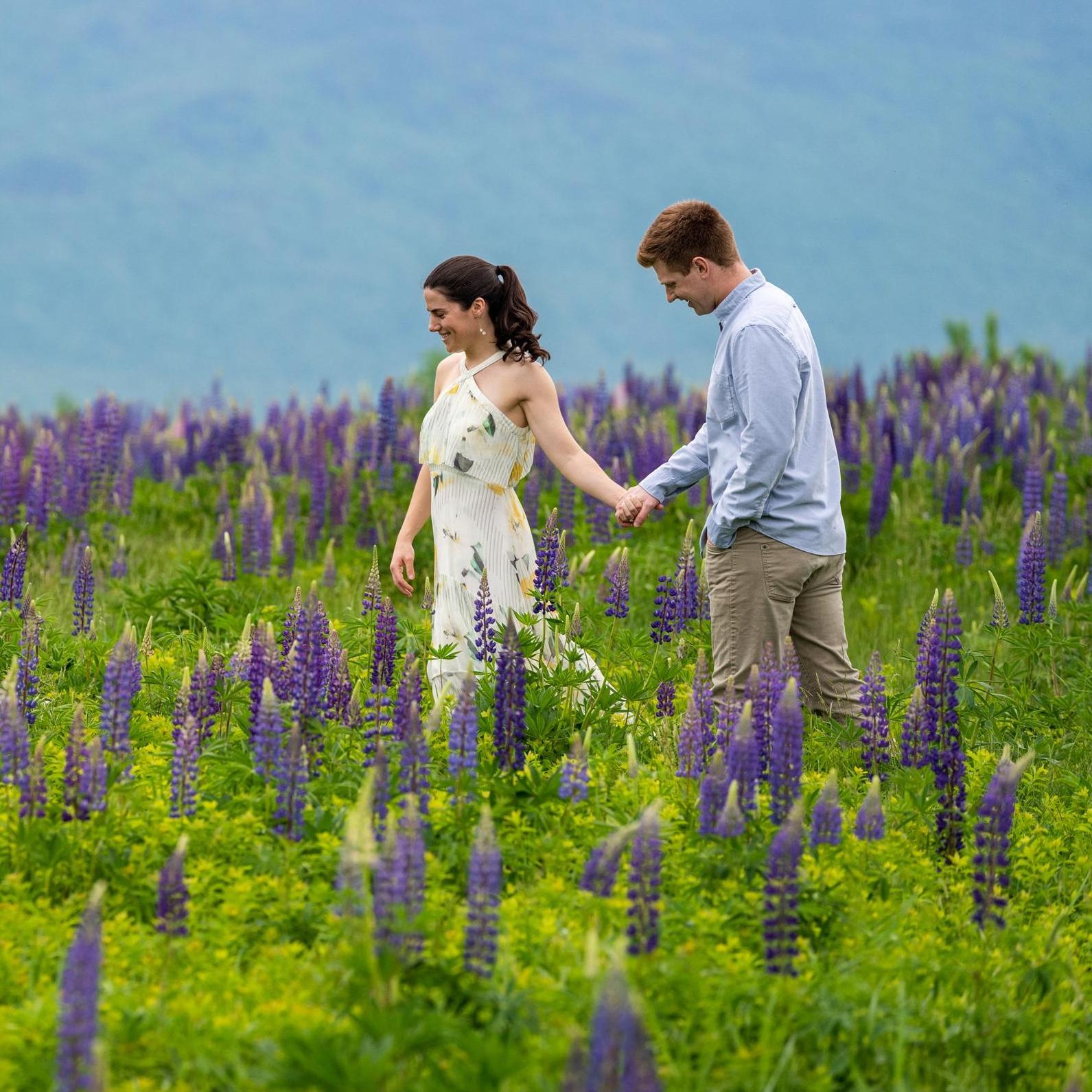 Strolling through the Lupine fields in New Hampshire