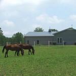 Equestrian Drive