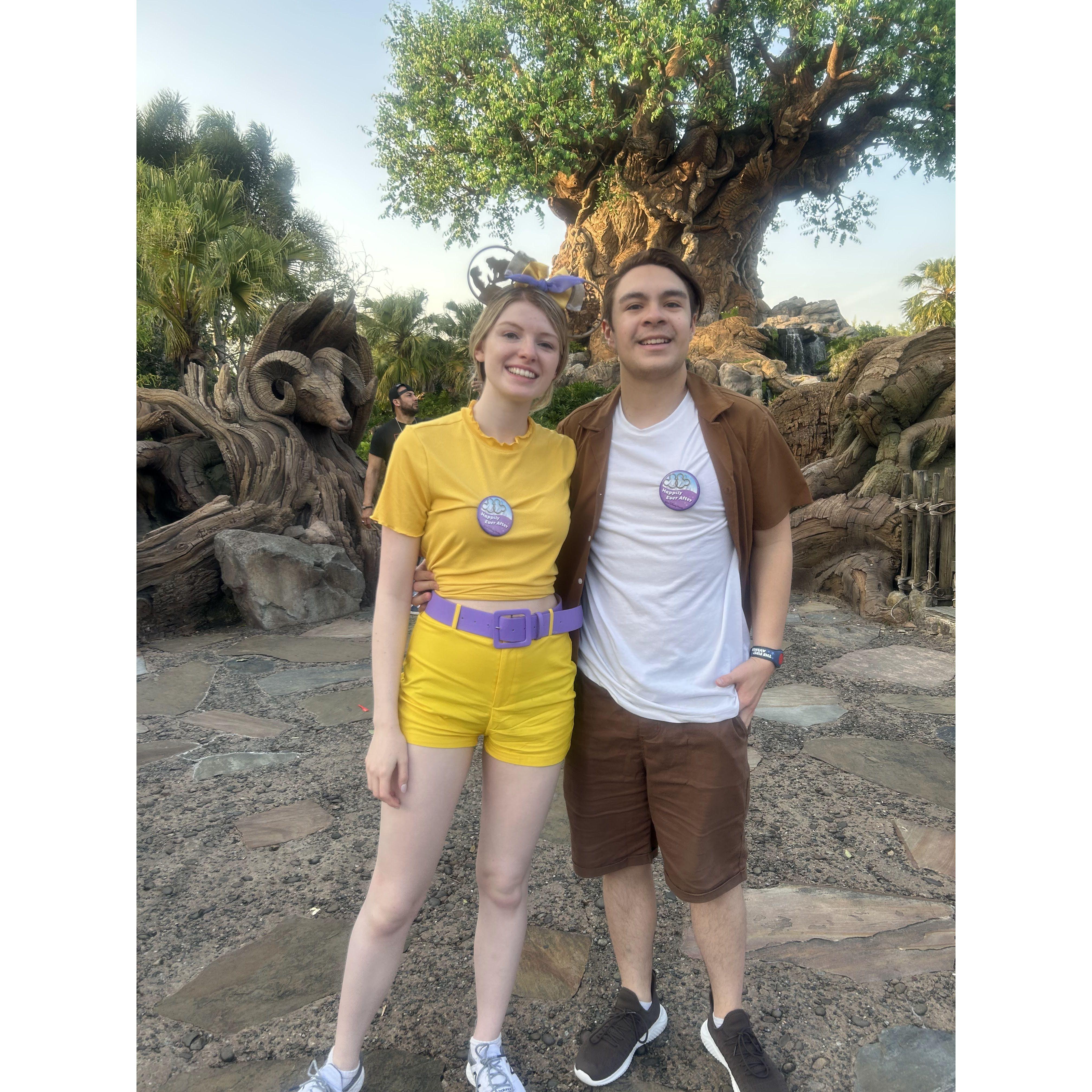 Animal Kingdom - March 2023