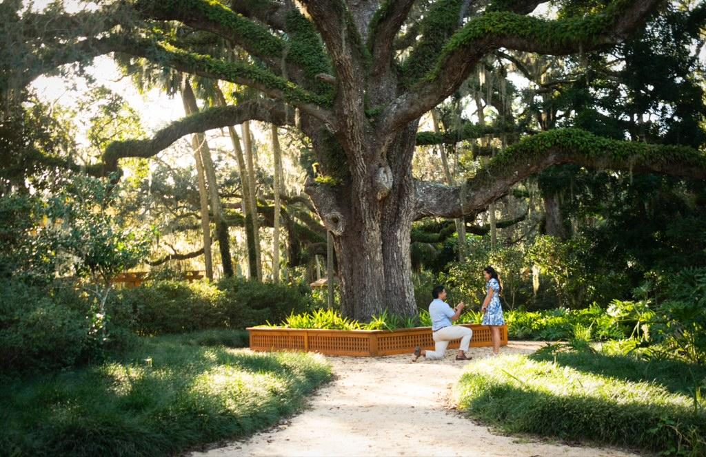 The Wedding Website of Amelia Gohn and Eric Gaytan