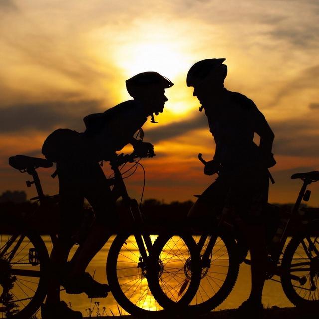 BICYCLE FUND for the Happy Couple :)