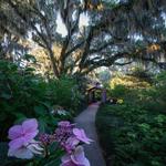 Brookgreen Gardens