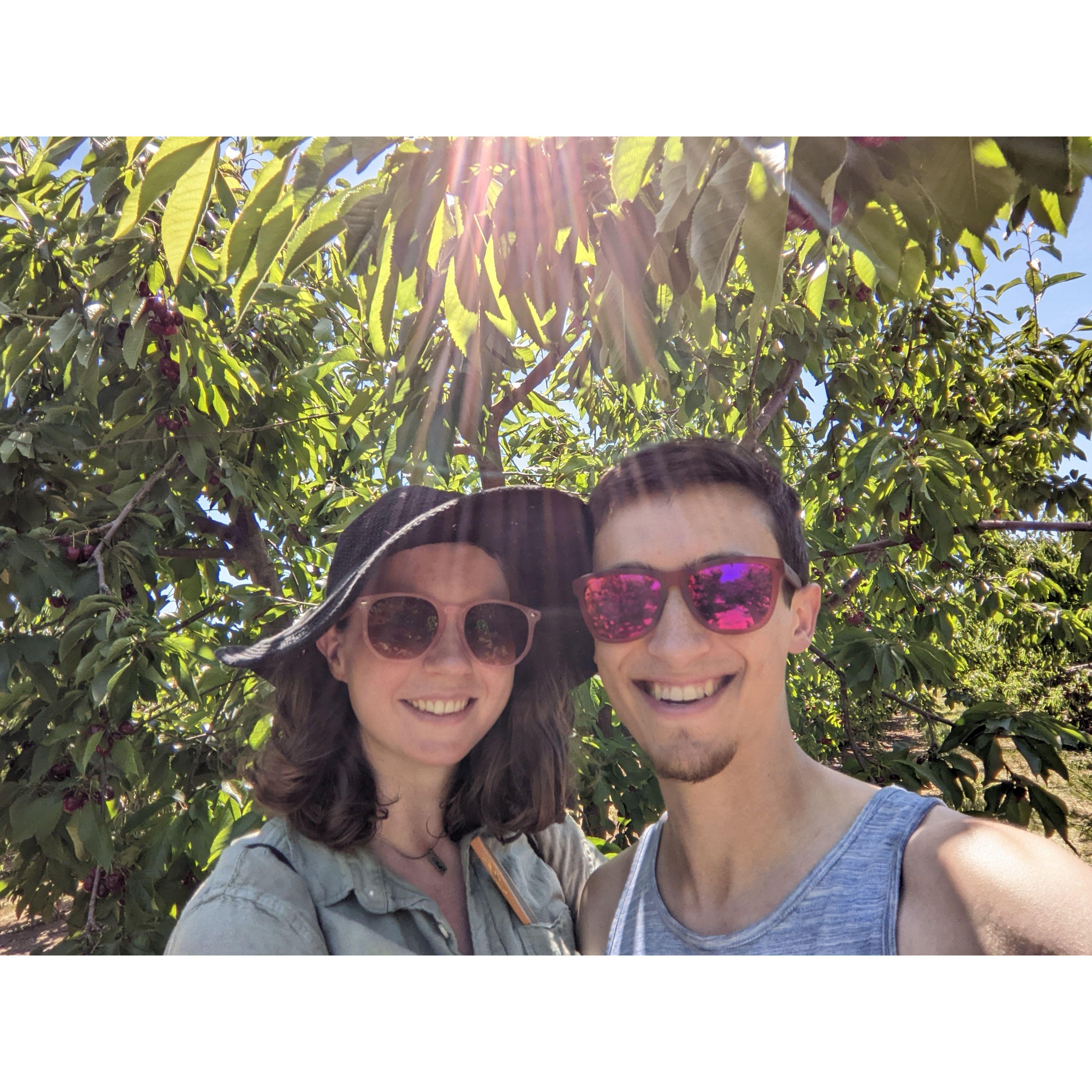 Cherry picking in CA!