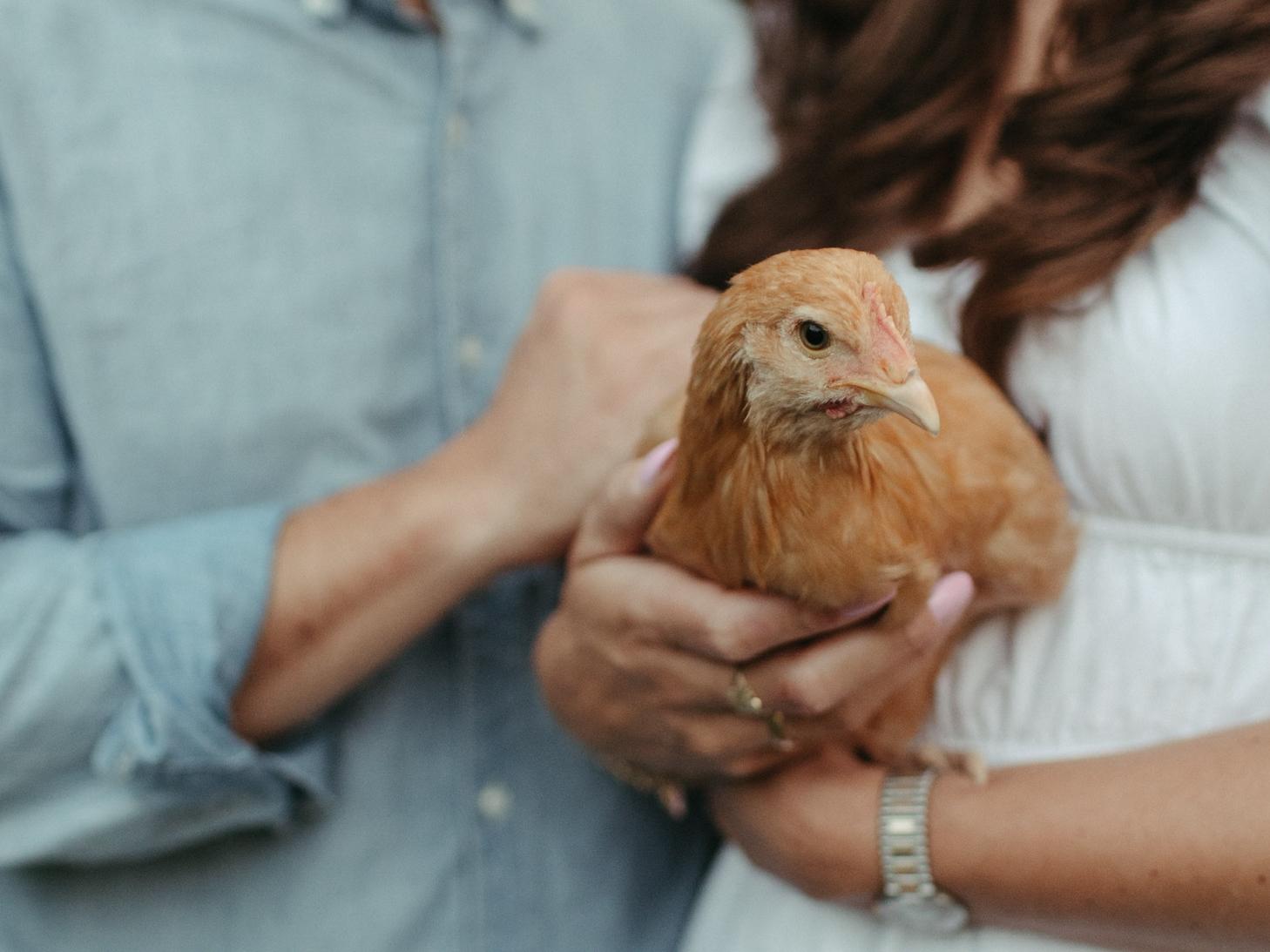 7ae04f22-1e75-4c48-9d3f-5b1c5597a795