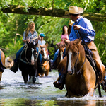 Horseback Riding