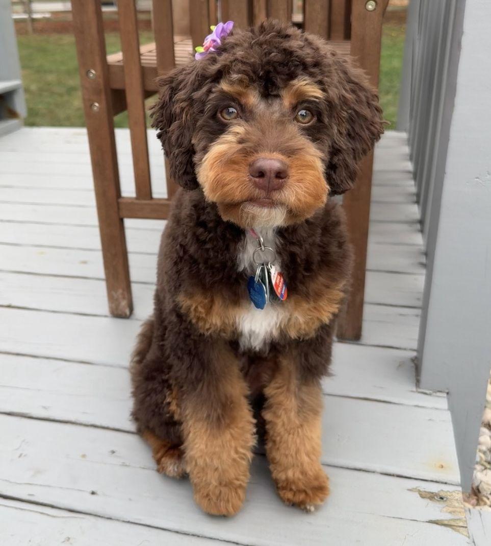 The Wedding Website of Haley Schroeder and Casey Szczublewski