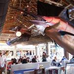 Flounder's Chowder House