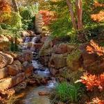 The Dallas Arboretum and Botanical Garden