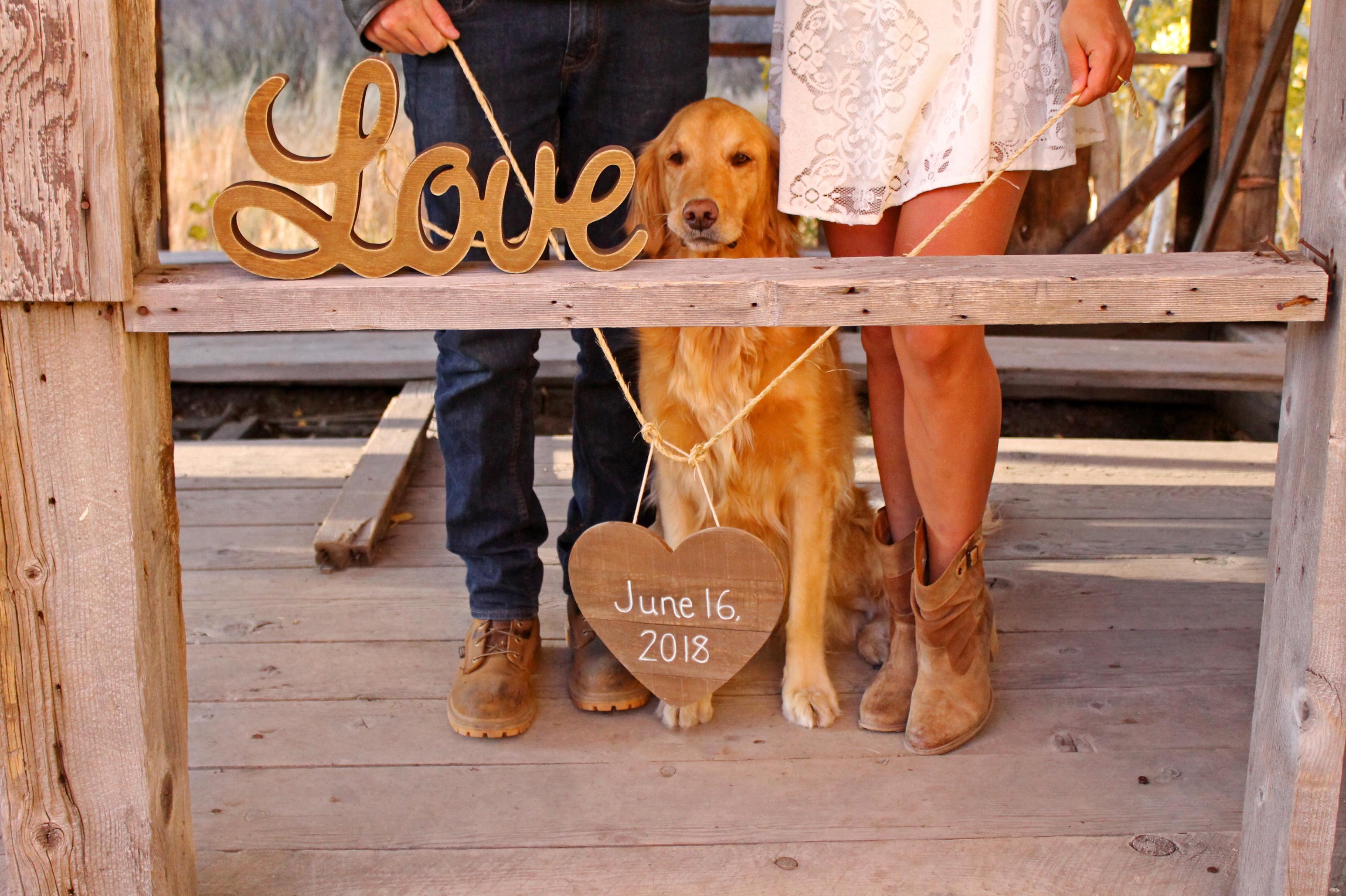 The Wedding Website of Kolina Coe and Cory Talbot