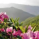 Craggy Dome