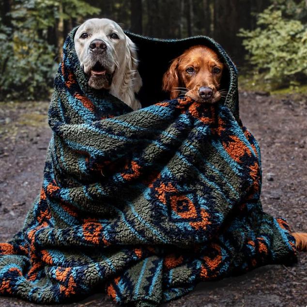 Sherpa Fleece Waterproof Blanket (Small - Olive)