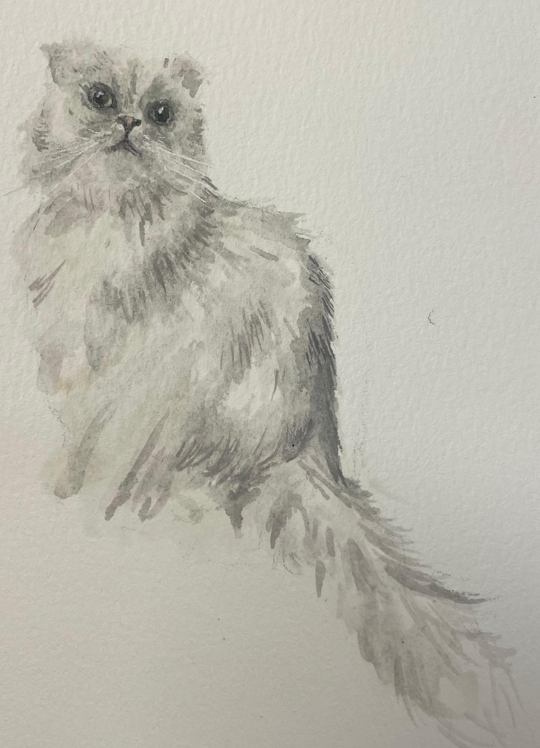 The Wedding Website of Hannah Shad and Max Pendlebury