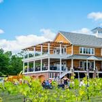 Brignole Vineyards