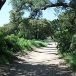 Eaton Canyon Falls Trail