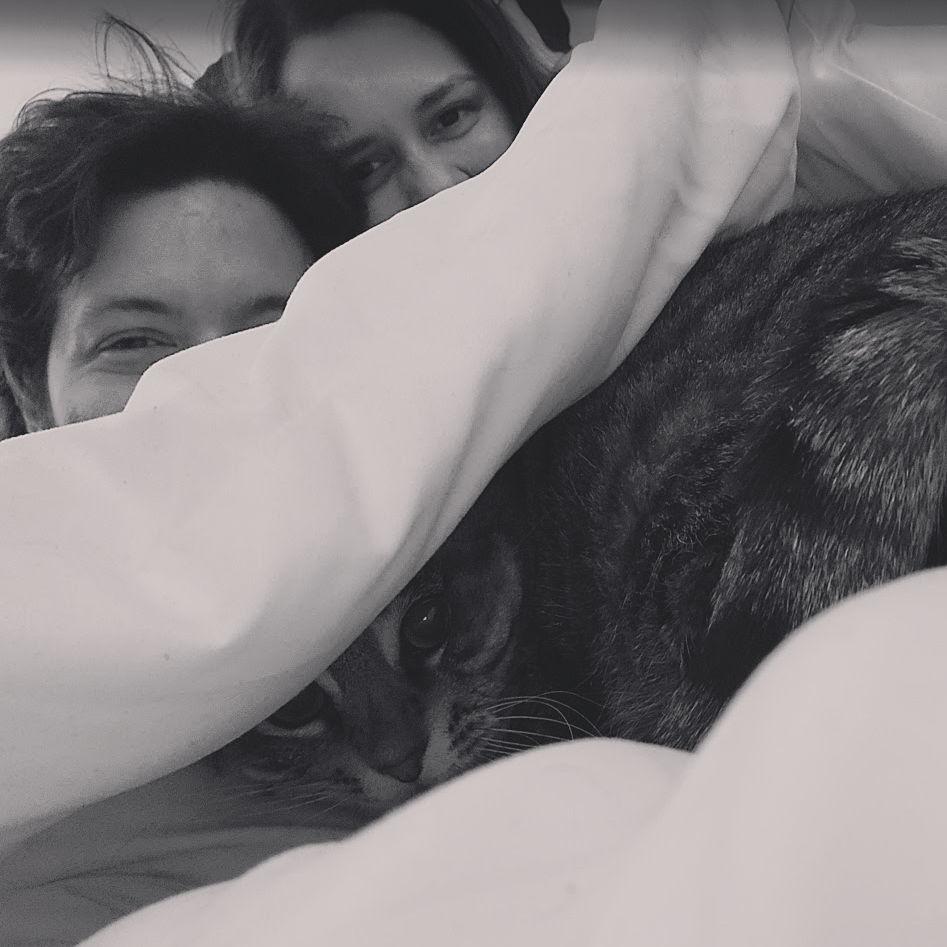 Photos of our cat Ivy = 95% of our camera roll!