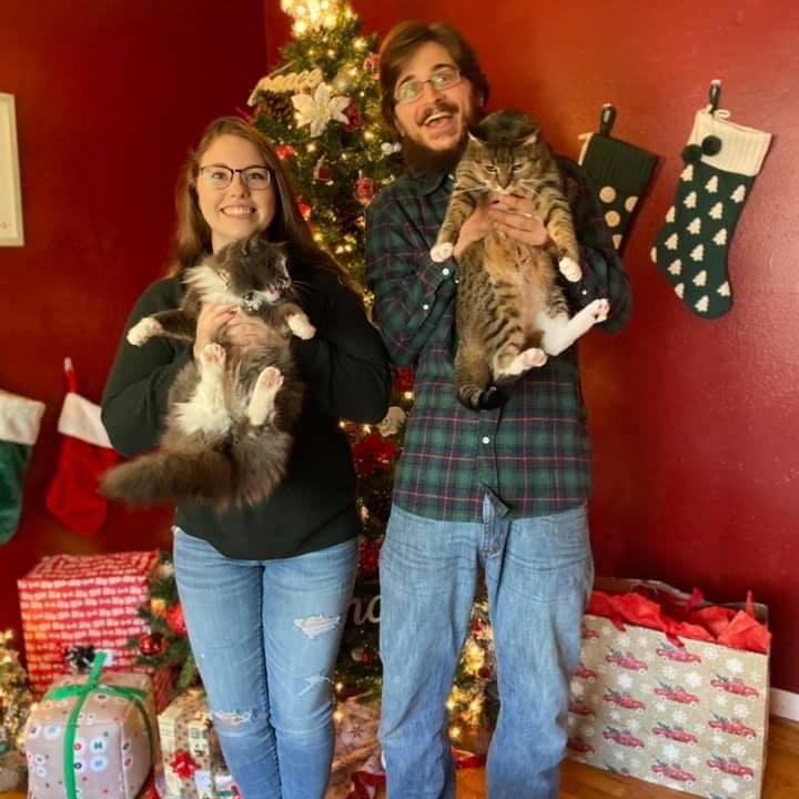 Christmas featuring the grumpy cats