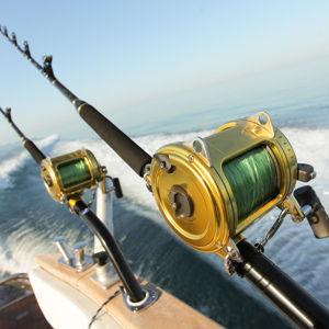 Ketchikan Salmon Fishing