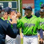 Northwestern Medicine Field