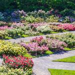 New York Botanical Garden