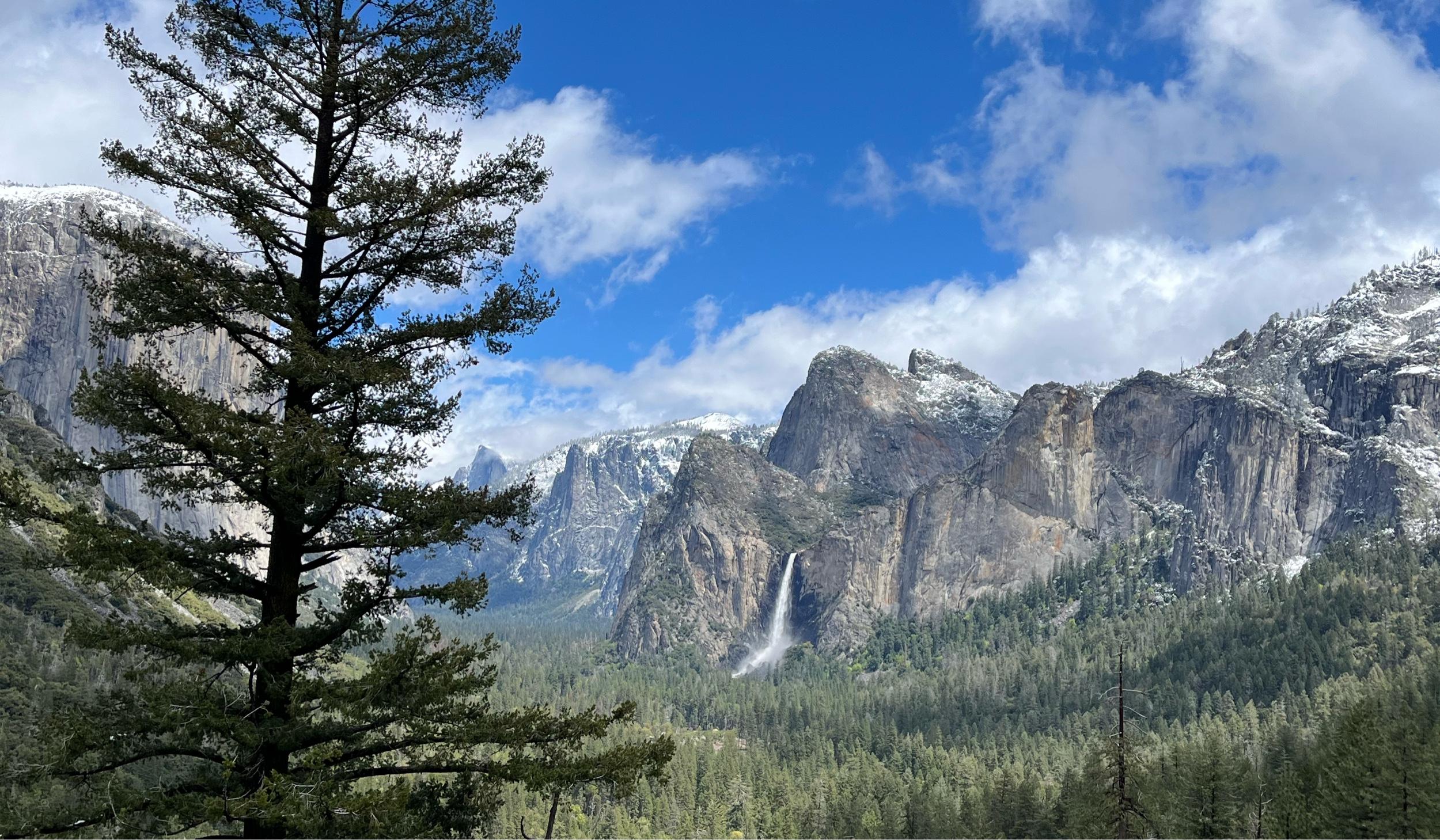 The Wedding Website of Emily Erwin and Kyle Lindsey