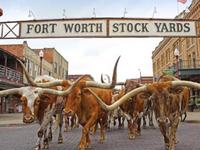 Stockyards Boulevard