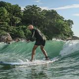 Whale Surfschool