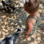 Animal World & Snake Farm Zoo