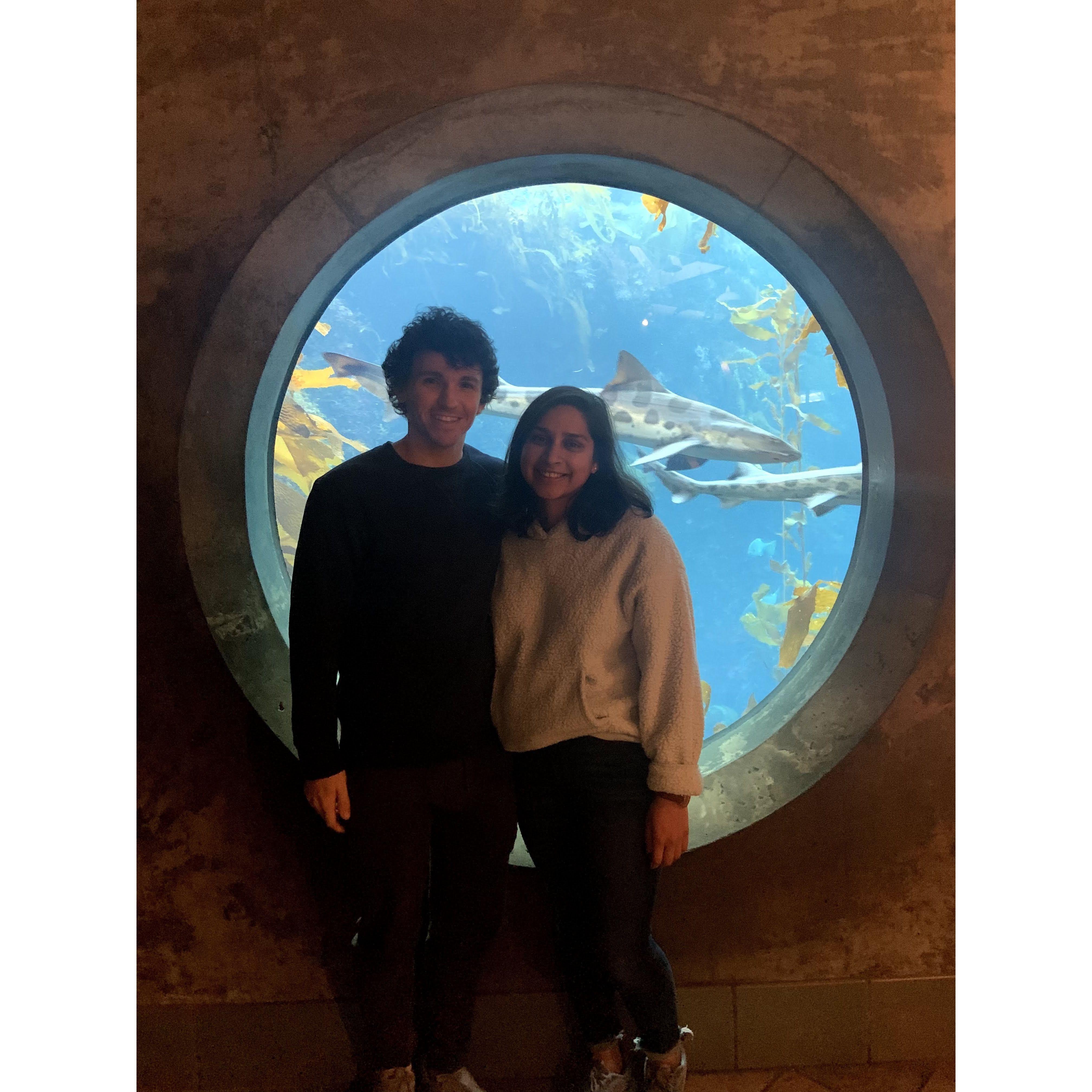 Winter break 2019. Monterey Bay Aquarium in Monterey Bay, CA.