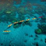 Kayak Olowalu