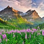 Glacier National Park