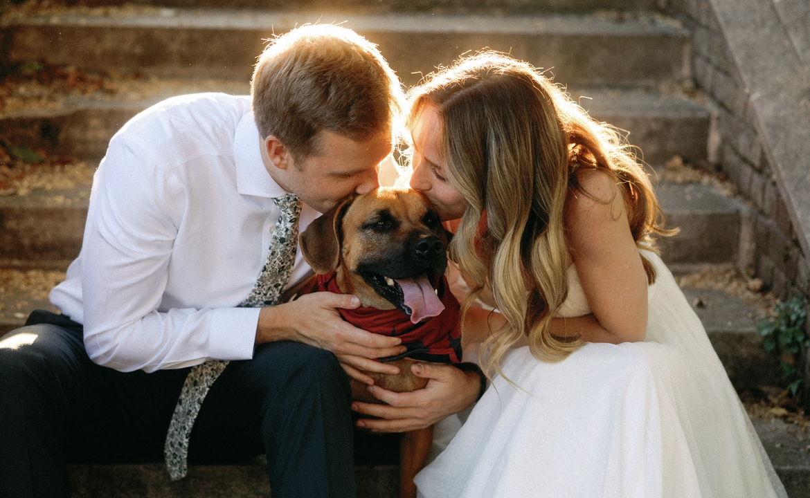 The Wedding Website of Tara Durstewitz and Owen Norley