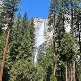 Lower Yosemite Falls Trailhead