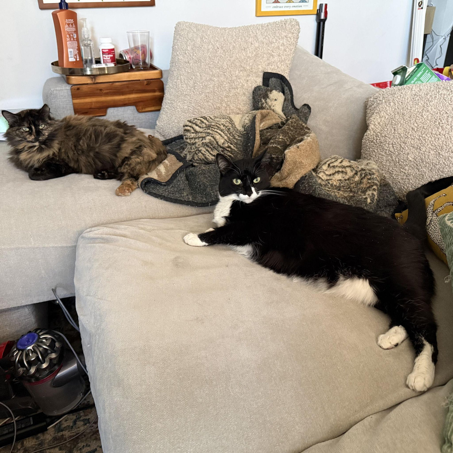 Claudia and Stella