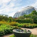 Garfield Park Conservatory