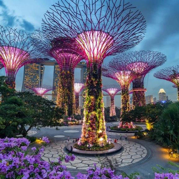 Flights from Tokyo to Singapore