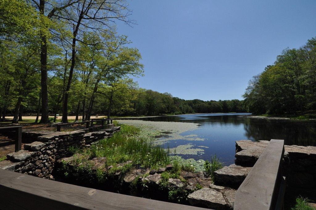 The Wedding Website of Jillian Wirth and Alex Rooney